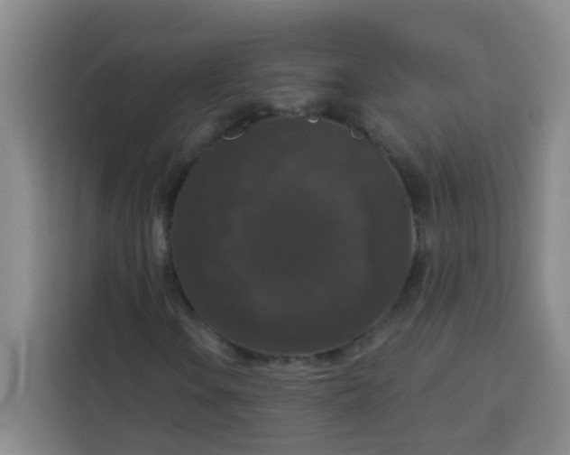 X0000113281106200910051035