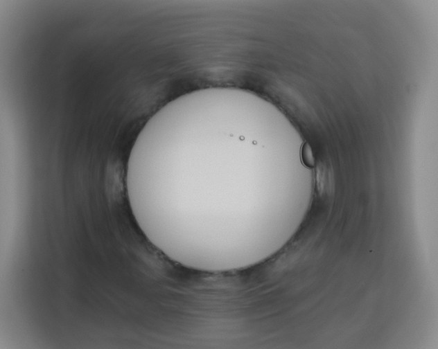 X0000113281107200910051035