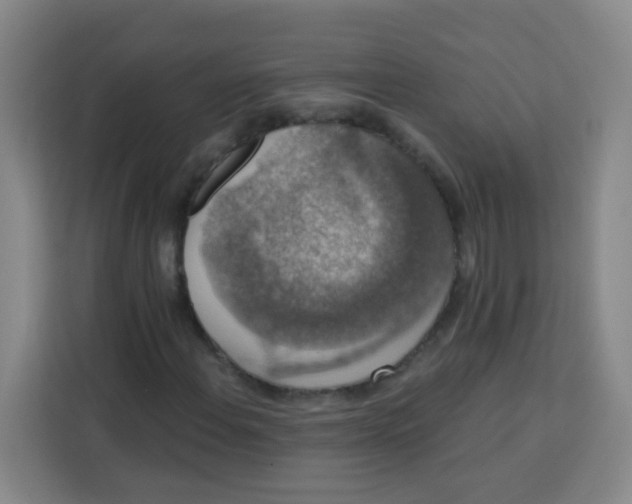 X0000113281108200910051035