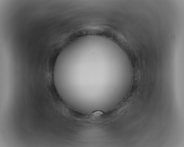 X0000113281109200910051035