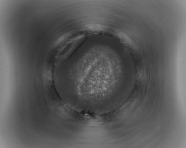 X0000113281110200910051035