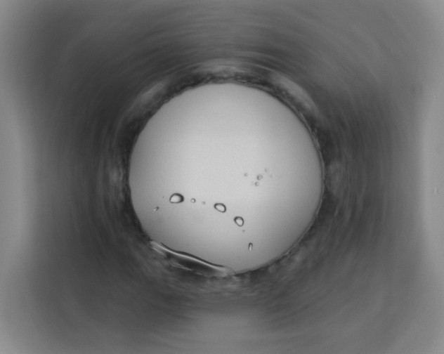 X0000113281111200910051035