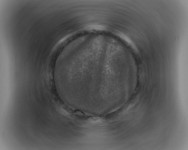 X0000113281112200910051035