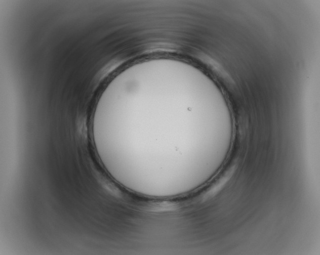 X0000113281113200910051035