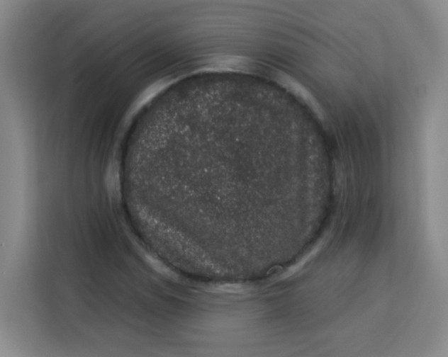 X0000113281114200910051035