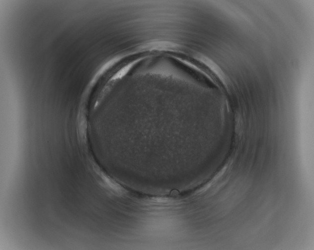 X0000113281115200910051035