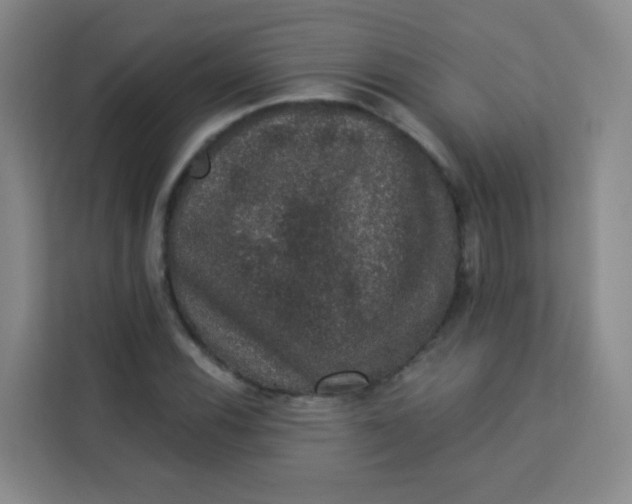 X0000113281116200910051035