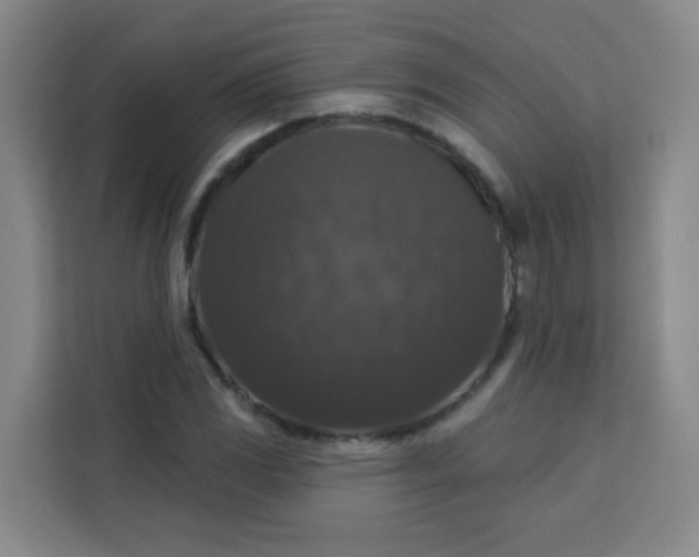 X0000113281117200910051035