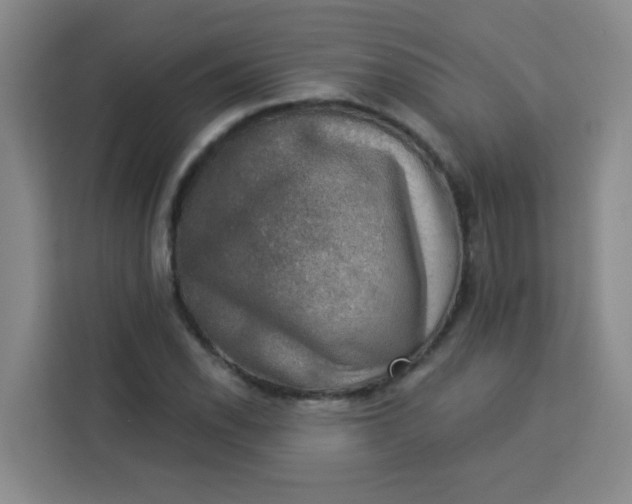 X0000113281118200910051035