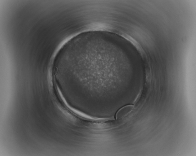 X0000113281120200910051035