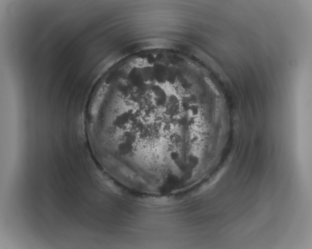 X0000113281121200910051035