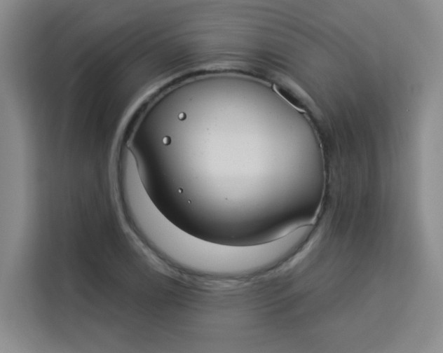 X0000113281122200910051035