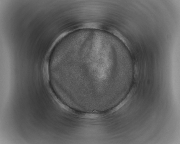 X0000113281123200910051035