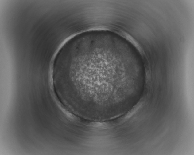 X0000113281124200910051035