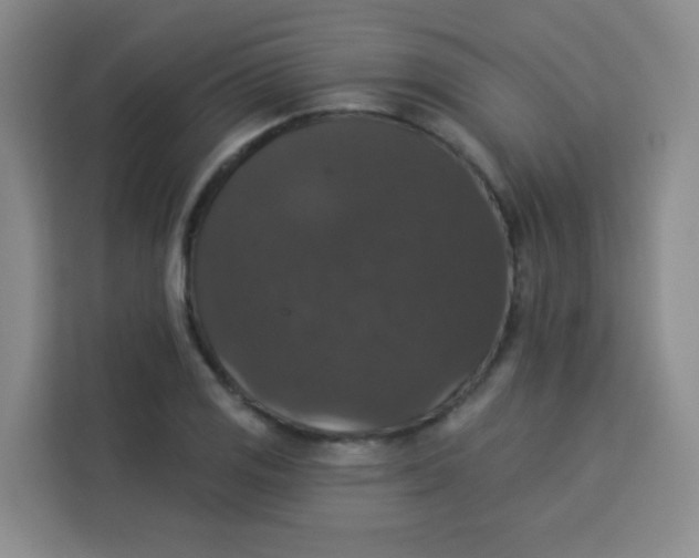 X0000113281125200910051035