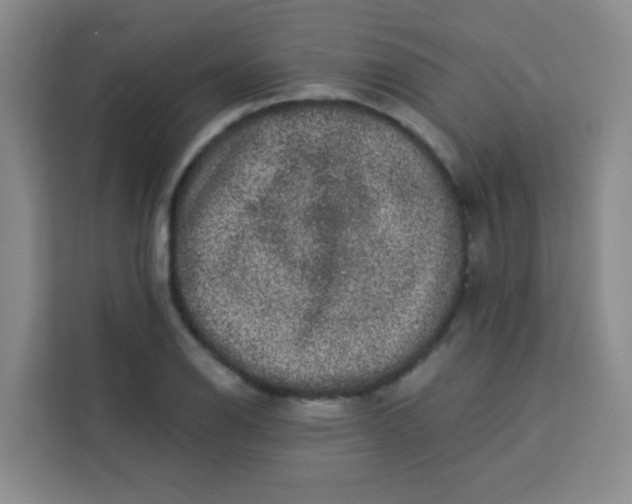 X0000113281126200910051035