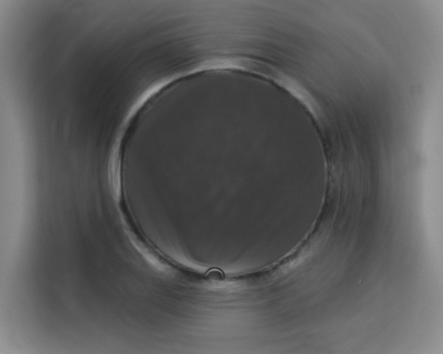 X0000113281127200910051035