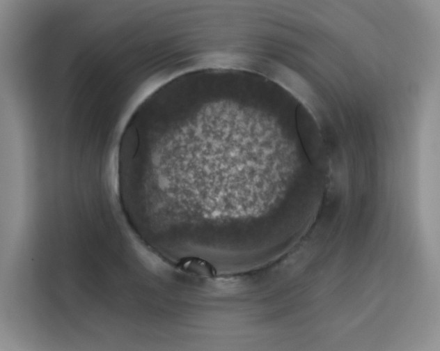 X0000113281128200910051035