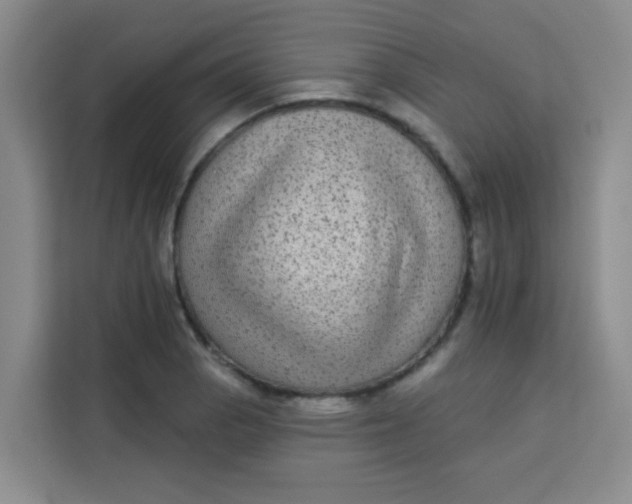 X0000113281129200910051035