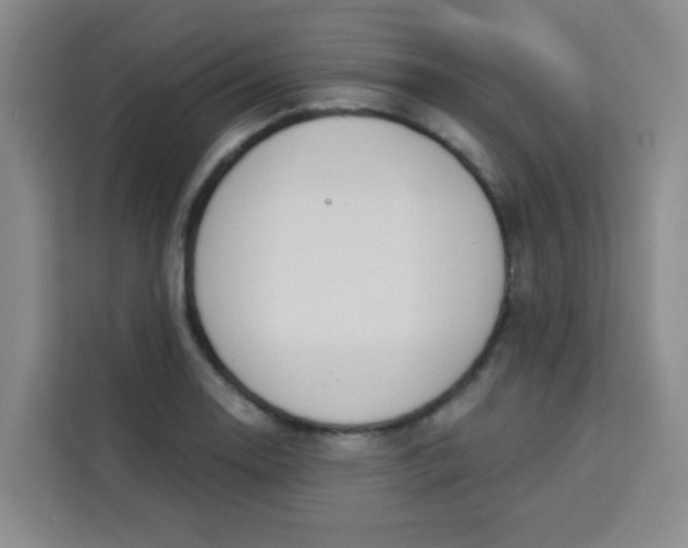 X0000113281130200910051035