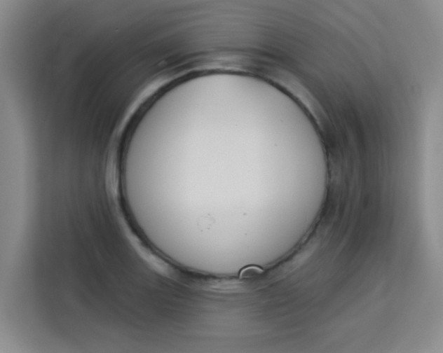 X0000113281131200910051035