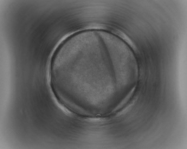 X0000113281132200910051035