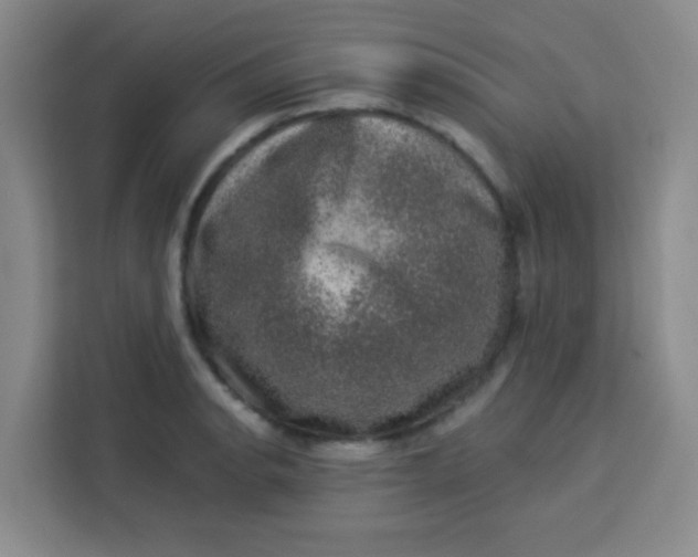 X0000113281134200910051035