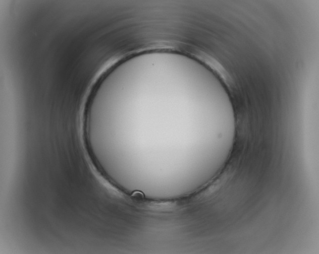 X0000113281135200910051035