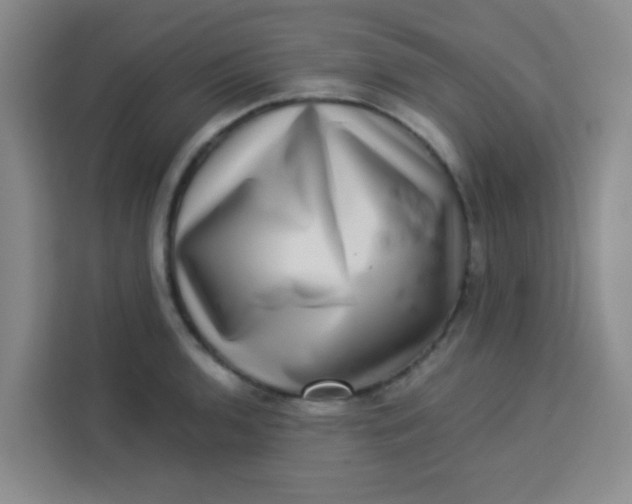 X0000113281136200910051035