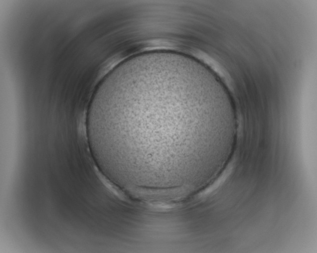 X0000113281137200910051035