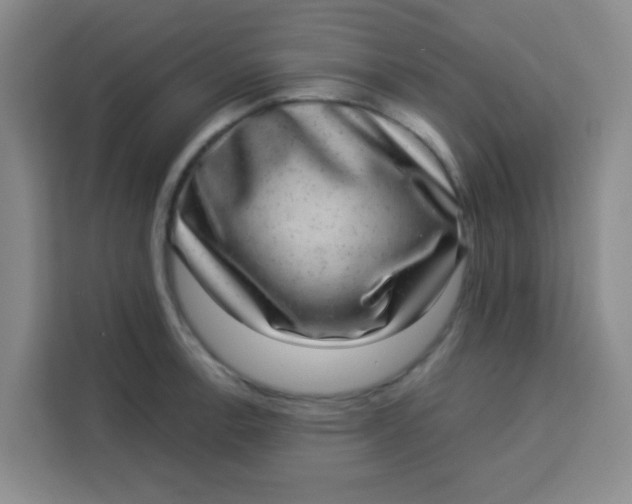 X0000113281138200910051035