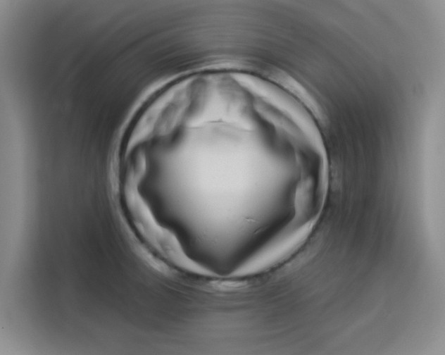 X0000113281140200910051035