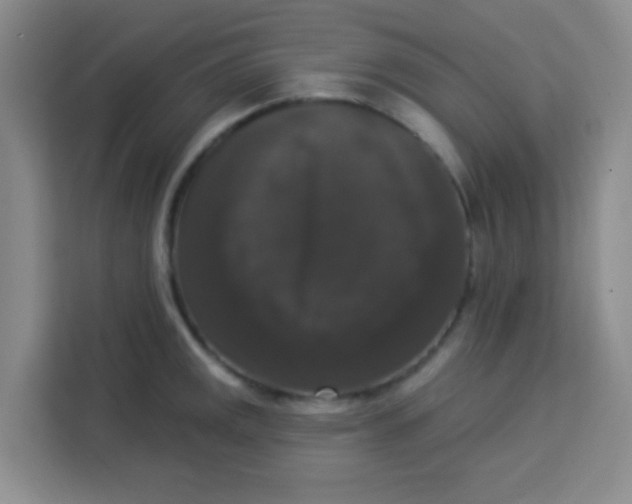 X0000113281141200910051035