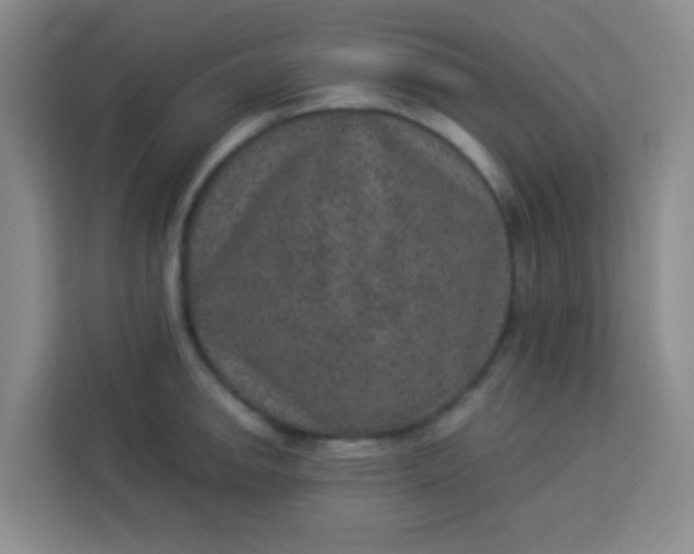 X0000113281142200910051035