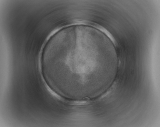 X0000113281143200910051035