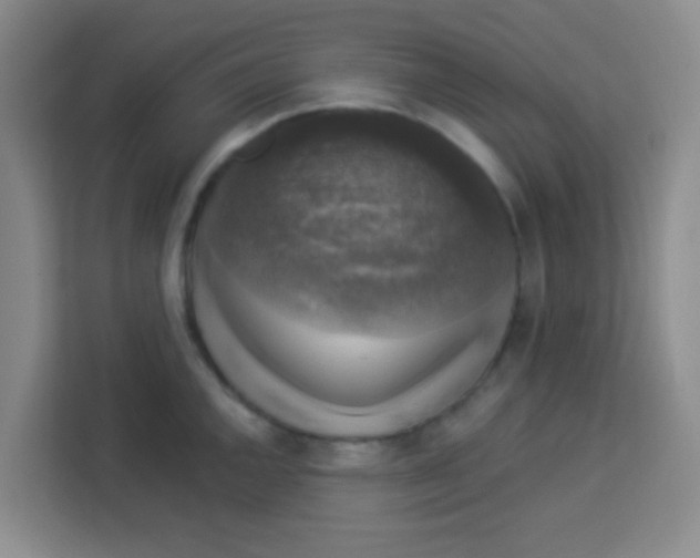 X0000113281144200910051035