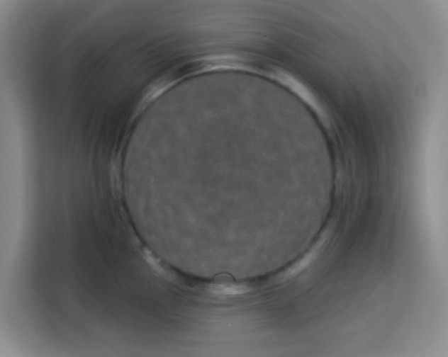 X0000113281145200910051035