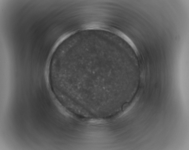 X0000113281146200910051035