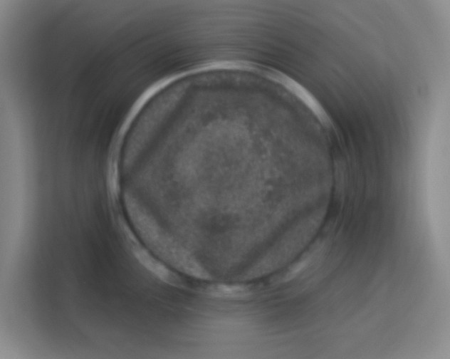 X0000113281148200910051035