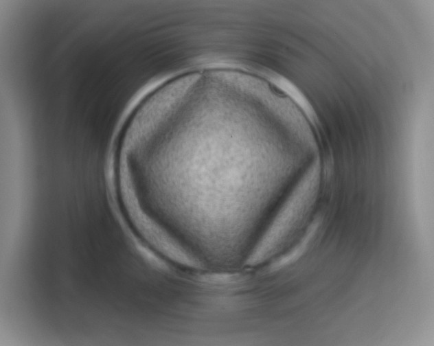 X0000113281149200910051035