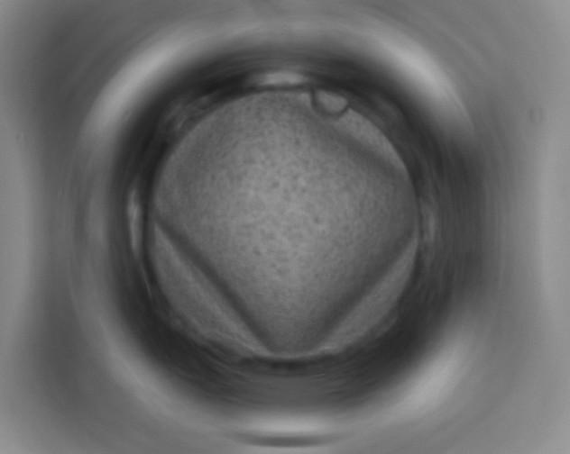 X0000113281151200910051035