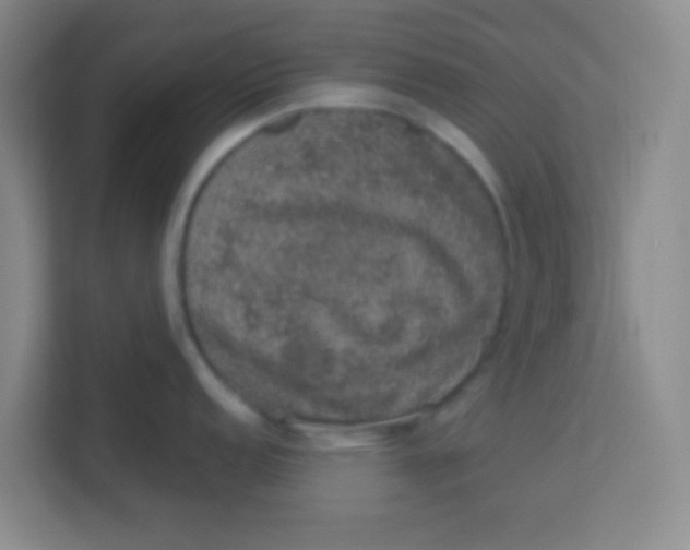 X0000113281152200910051035