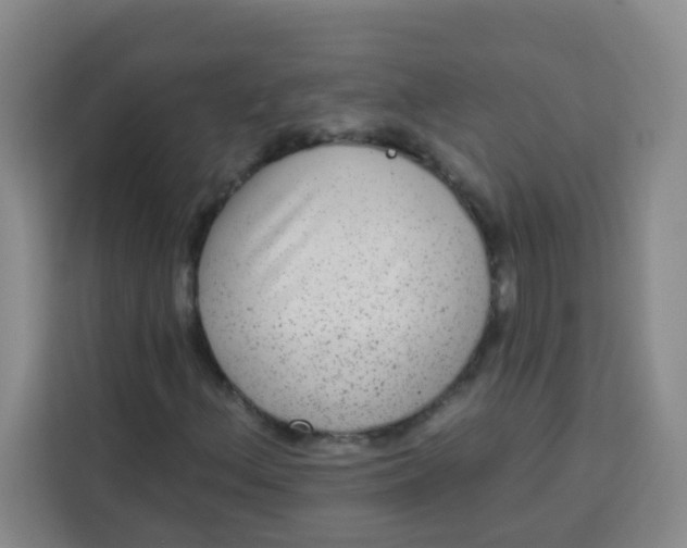 X0000113281156200910051035