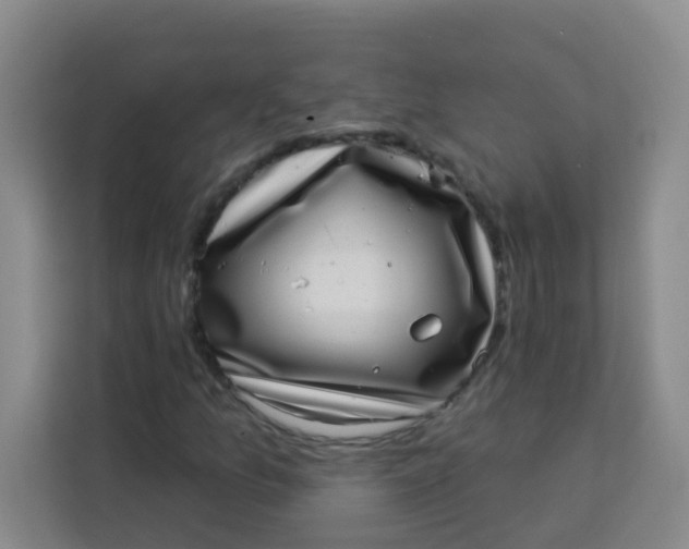 X0000113281157200910051035