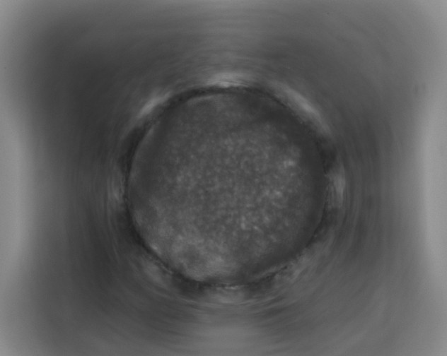 X0000113281158200910051035