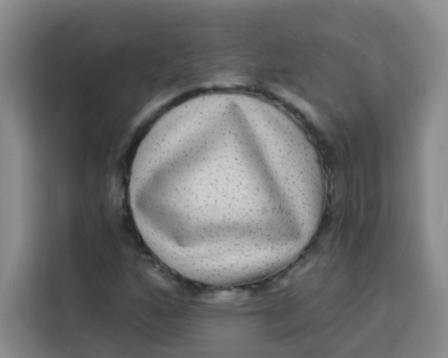 X0000113281160200910051034