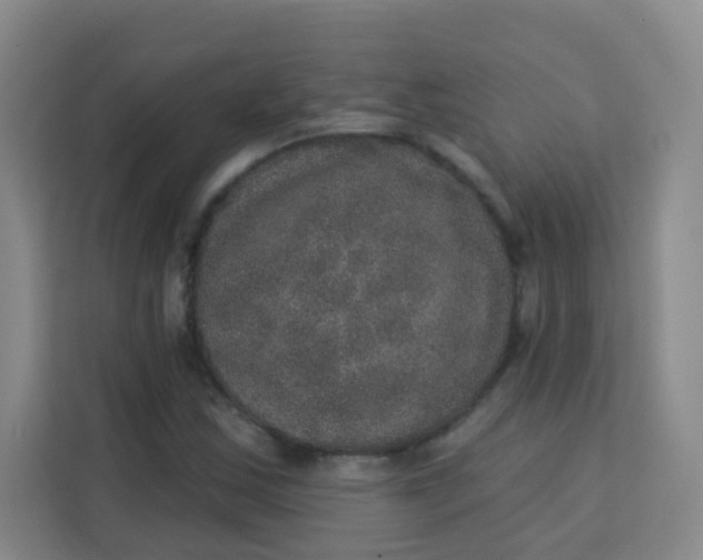 X0000113281163200910051034