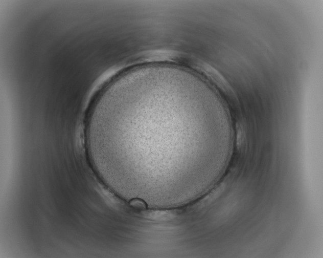 X0000113281164200910051034