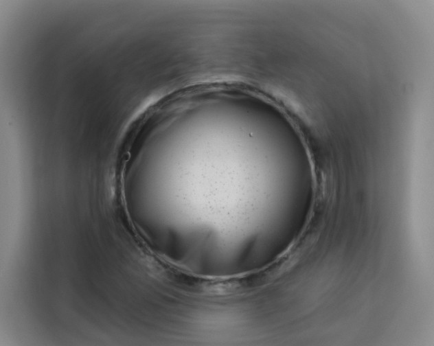 X0000113281165200910051034