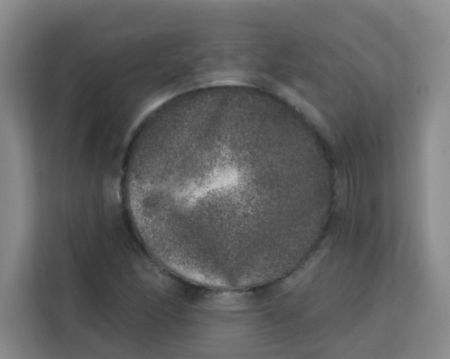 X0000113281166200910051034